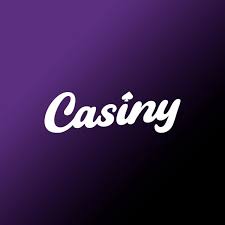 All You Need to Know About Casiny Login 21