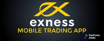 Best Account for Exness Best Account for Exness
