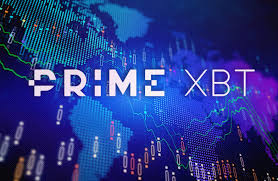 In-Depth Reviews About PrimeXBT UK A Comprehensive Guide